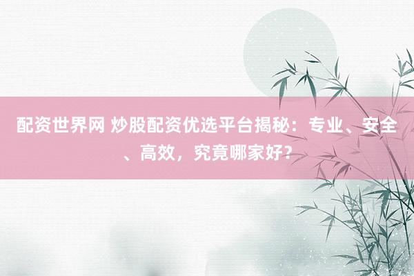 配资世界网 炒股配资优选平台揭秘：专业、安全、高效，究竟哪家好？