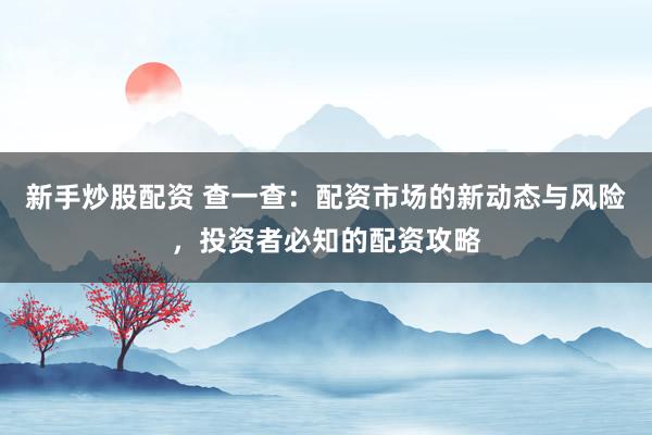 新手炒股配资 查一查：配资市场的新动态与风险，投资者必知的配资攻略
