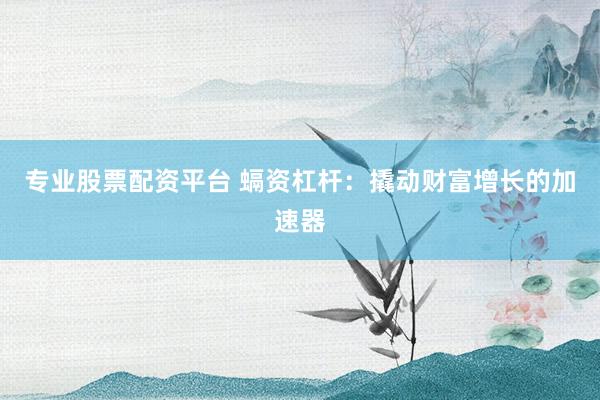 专业股票配资平台 螎资杠杆：撬动财富增长的加速器