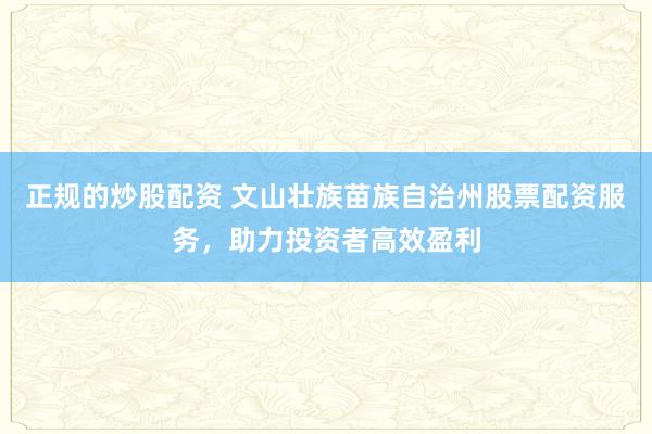 正规的炒股配资 文山壮族苗族自治州股票配资服务，助力投资者高效盈利