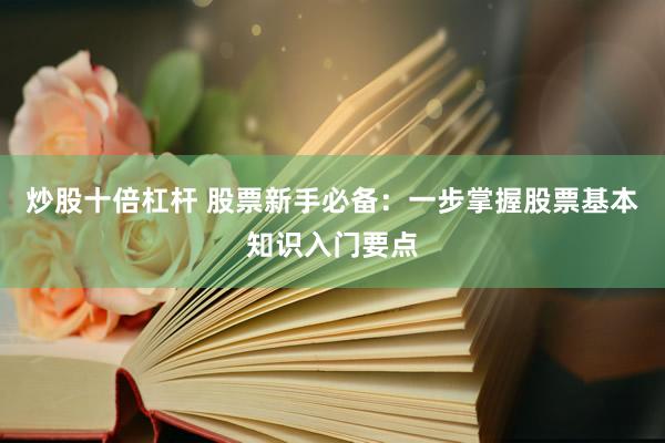 炒股十倍杠杆 股票新手必备：一步掌握股票基本知识入门要点