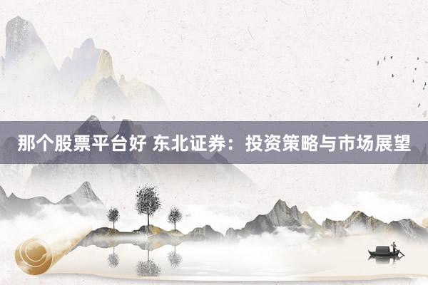 那个股票平台好 东北证券：投资策略与市场展望