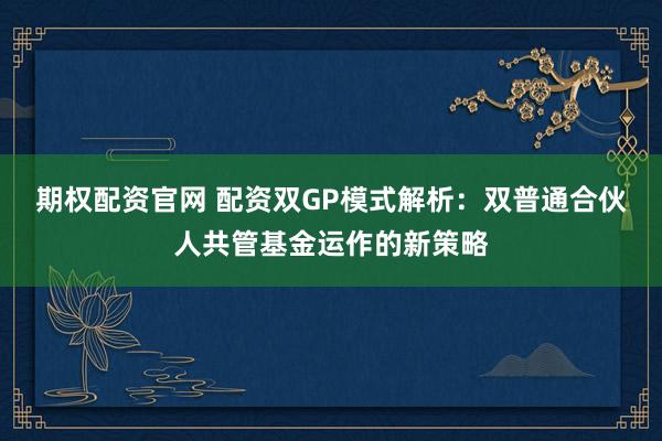 期权配资官网 配资双GP模式解析:双普通合伙人共管基金运作的新策略