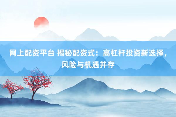 网上配资平台 揭秘配资式:高杠杆投资新选择,风险与机遇并存