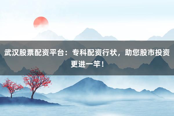 武汉股票配资平台:专科配资行状,助您股市投资更进一竿!