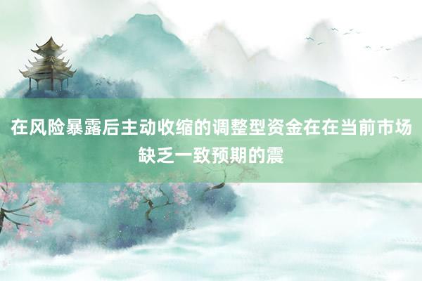 在风险暴露后主动收缩的调整型资金在在当前市场缺乏一致预期的震