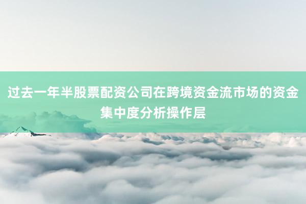 过去一年半股票配资公司在跨境资金流市场的资金集中度分析操作层