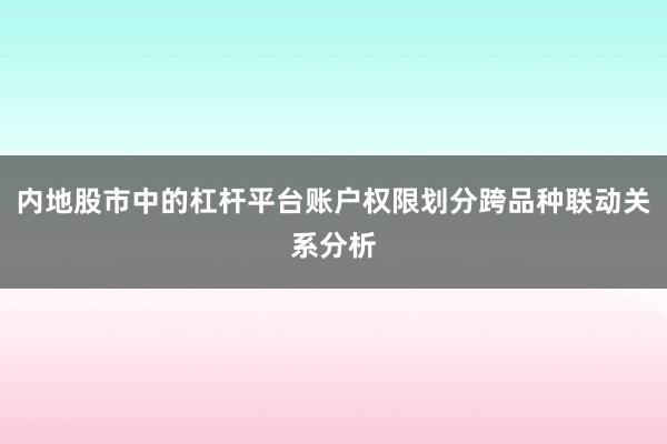 内地股市中的杠杆平台账户权限划分跨品种联动关系分析